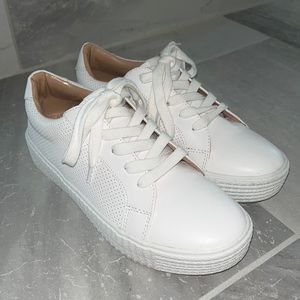 Steve Madden Sneakers
